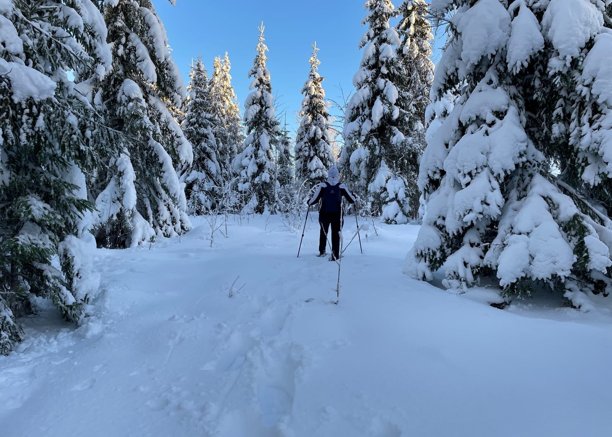 Lumikenkäilijä suuntaamassa syvemmälle lumiseen metsään