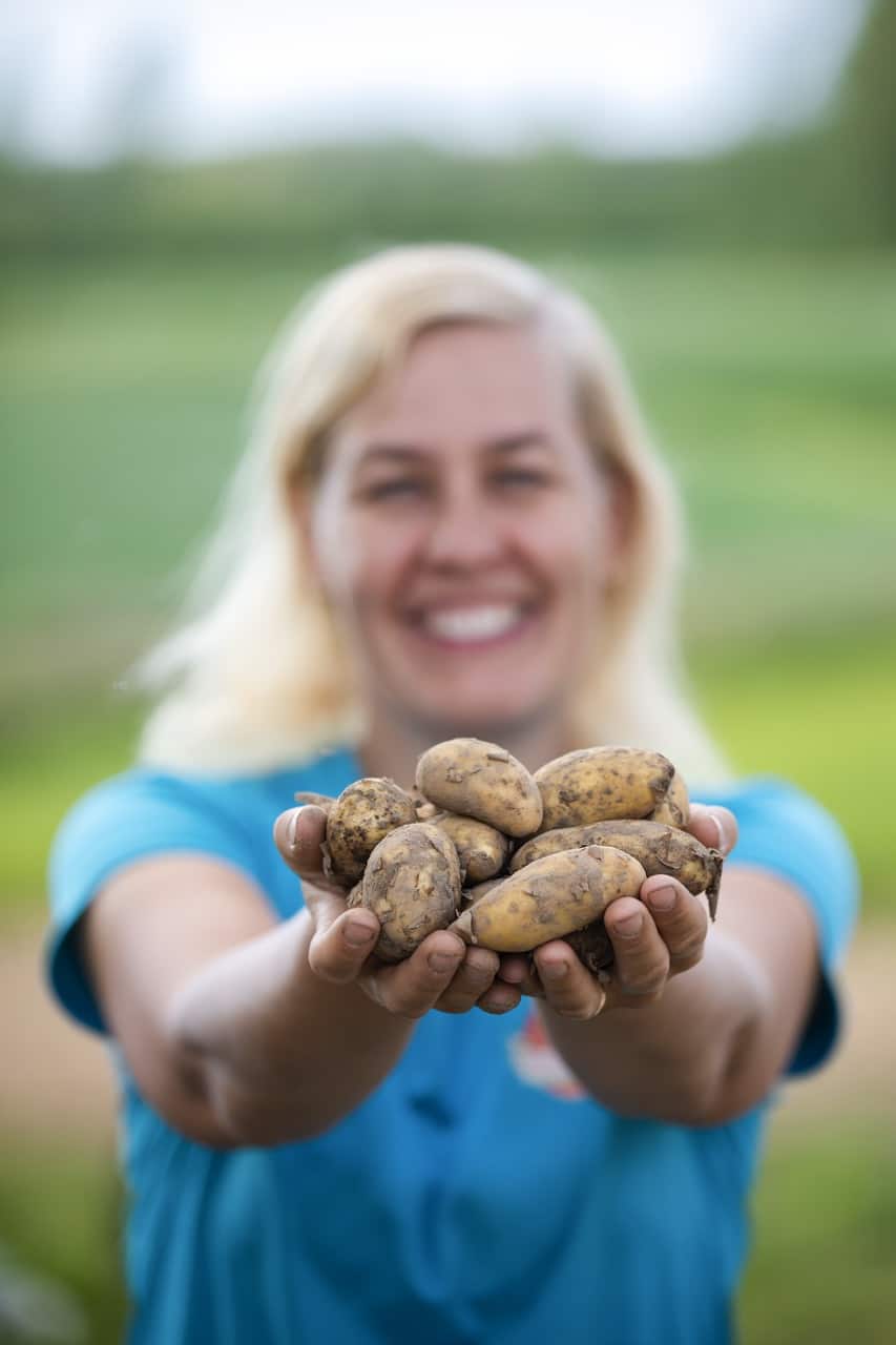 Maatilatuotteet perunat