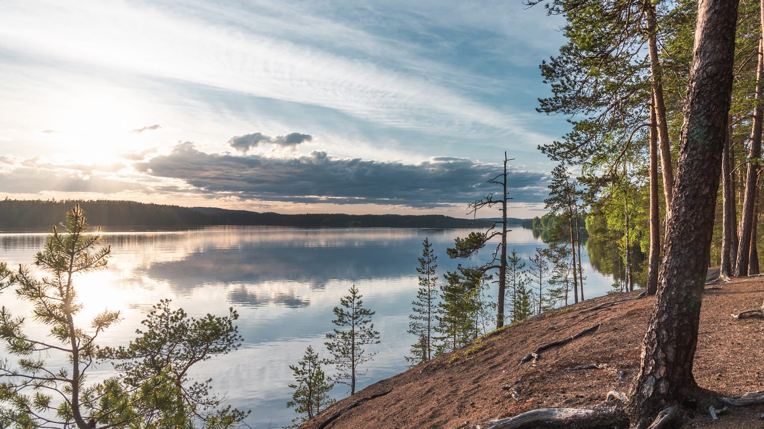 Kesäinen järvimaisema