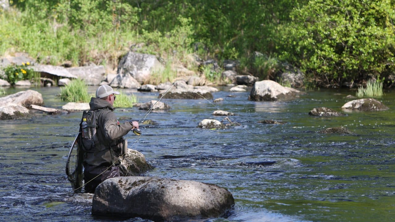 Perhokalastaja koskella