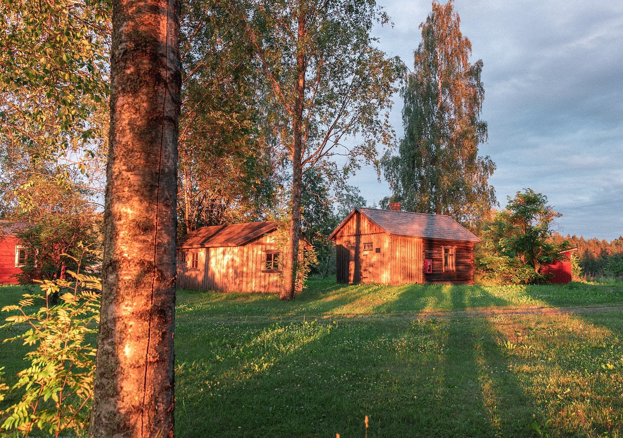 Aarresaaren puurakennukset