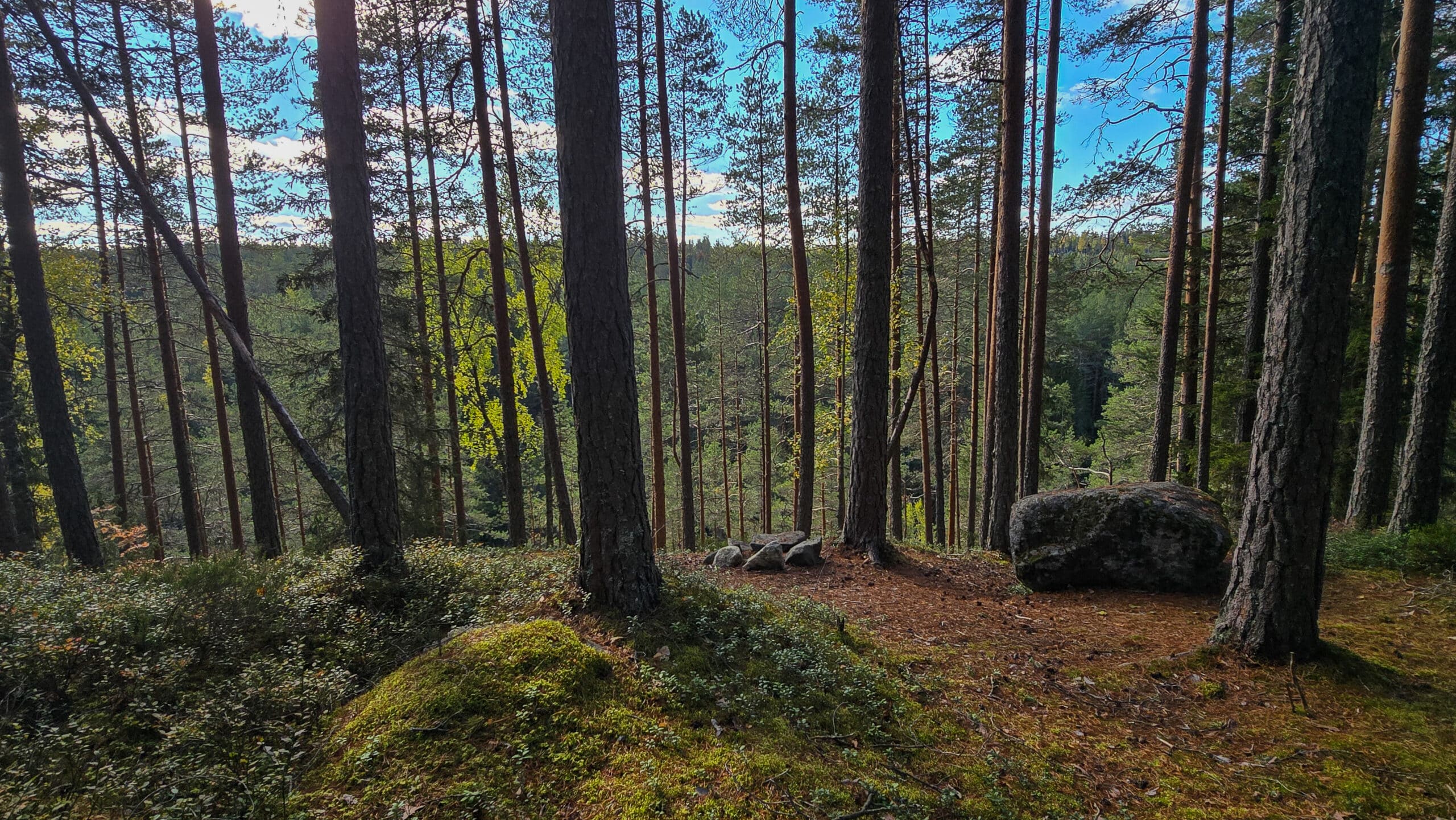 Rotkojärvi eli Ruuhijärvi