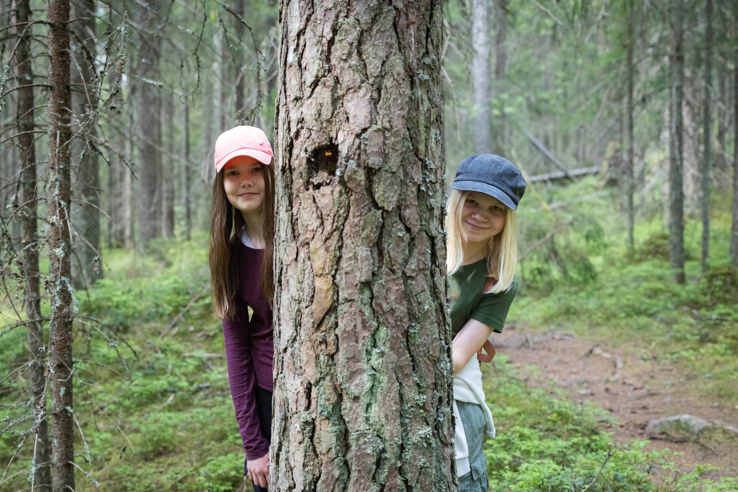 Kaksi tyttöä kurkistaa puun takaa Hartusvuorella-Pukinvuorella