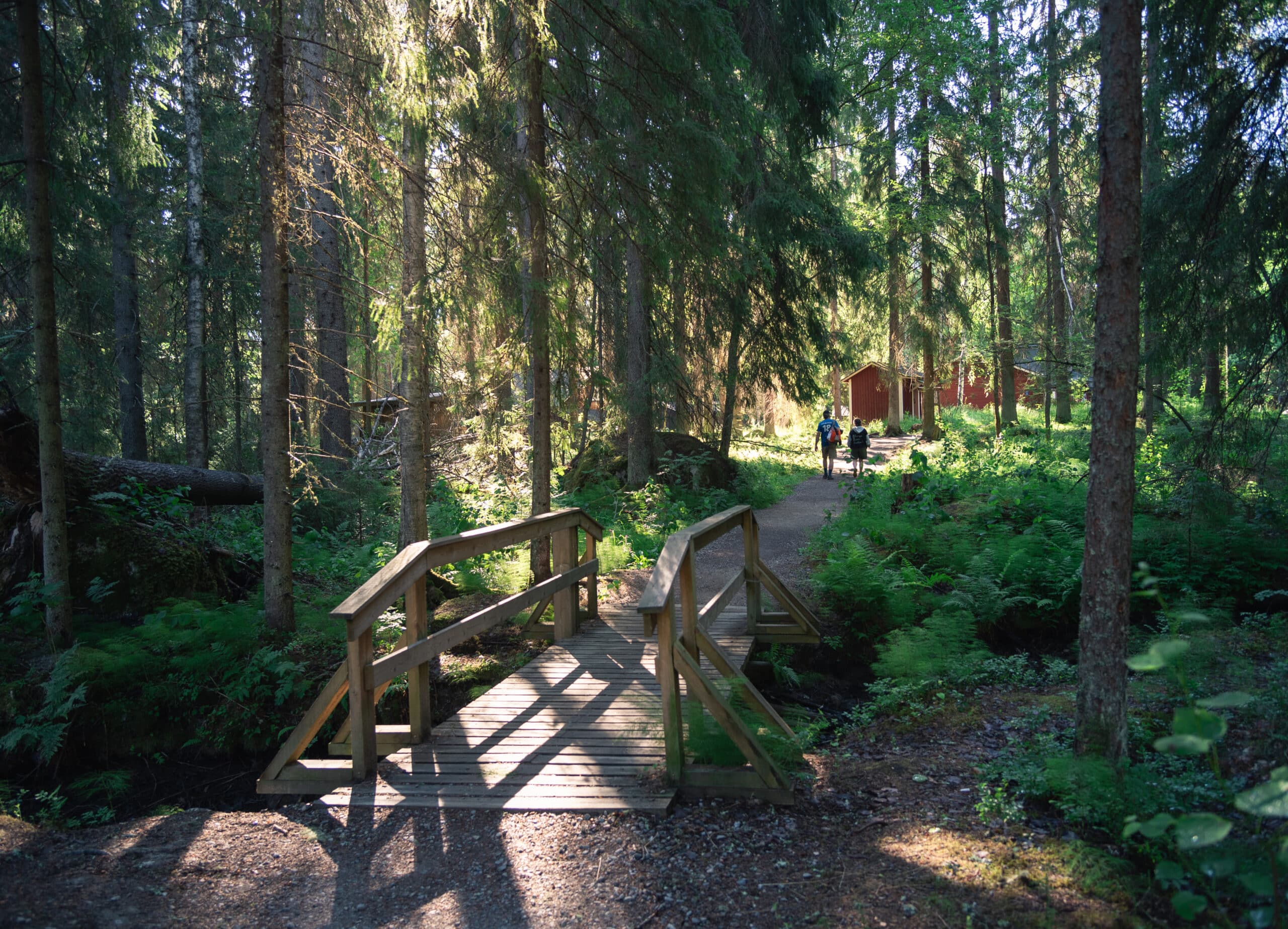 Isojärven kansallispuisto