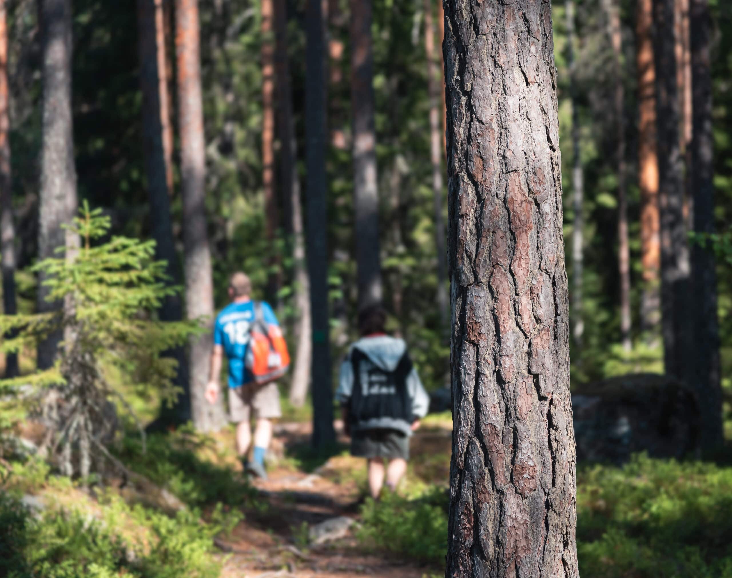 Isojärven kansallispuisto