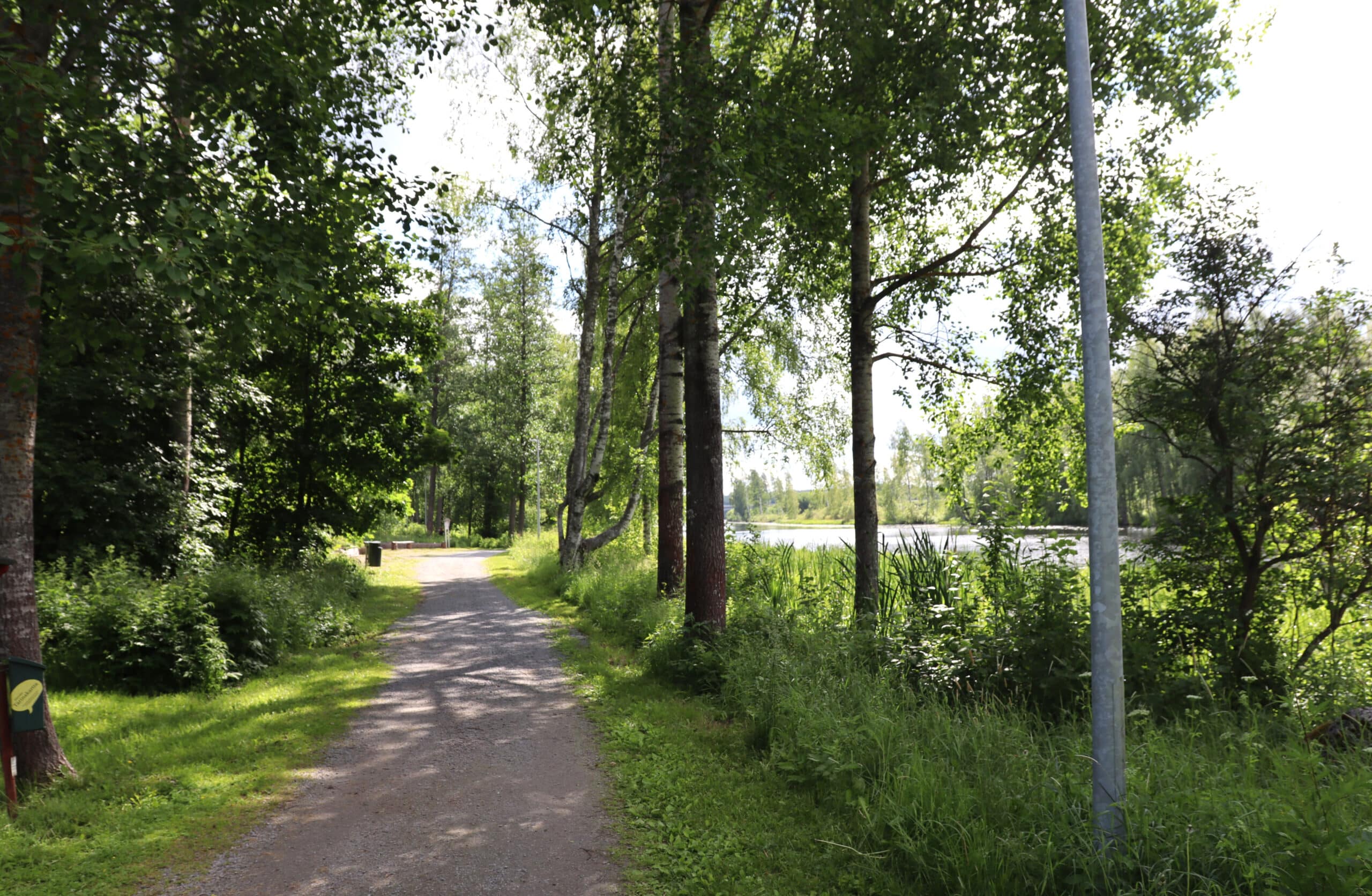 Tervaleppämetsän polku Himos-Jämsässä