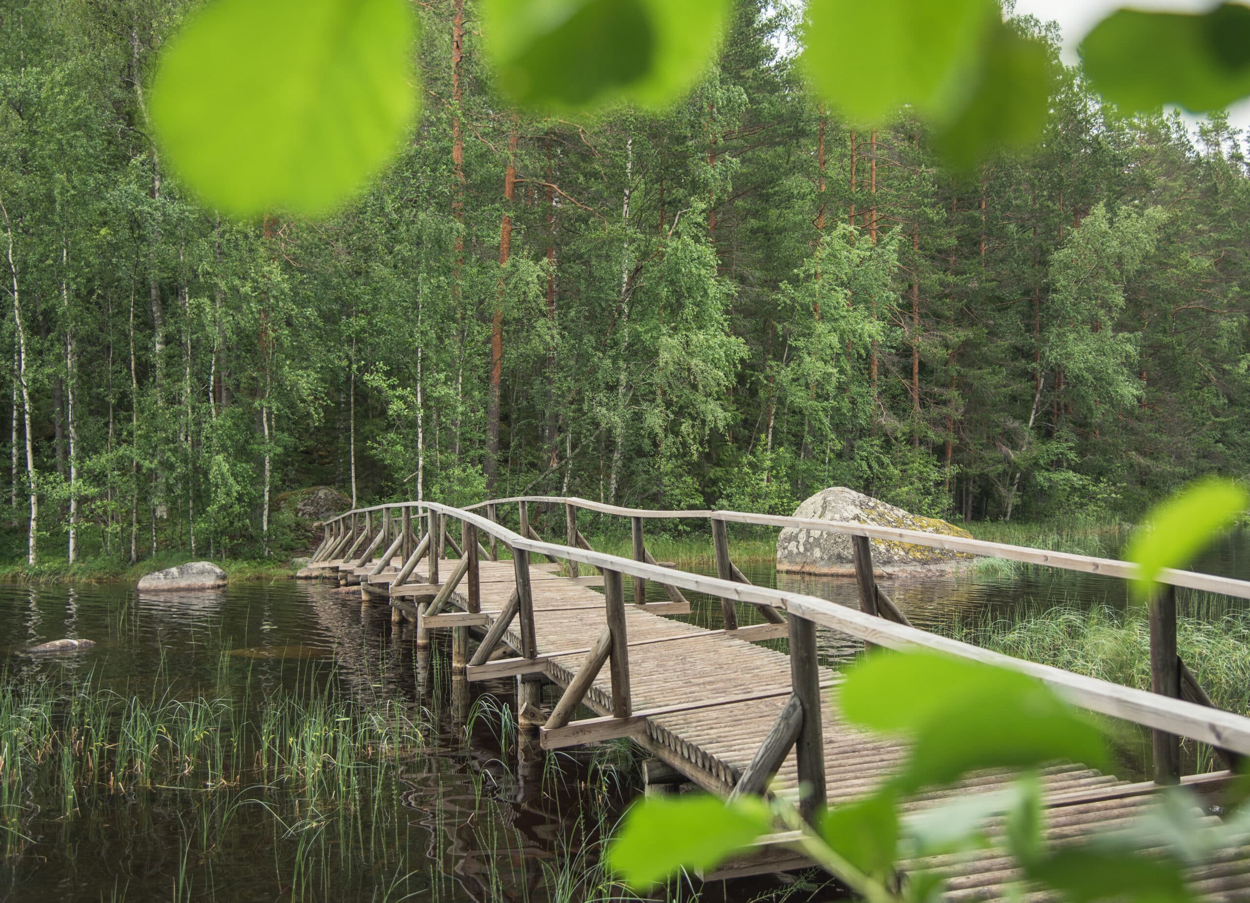 Isojärven kansallispuisto