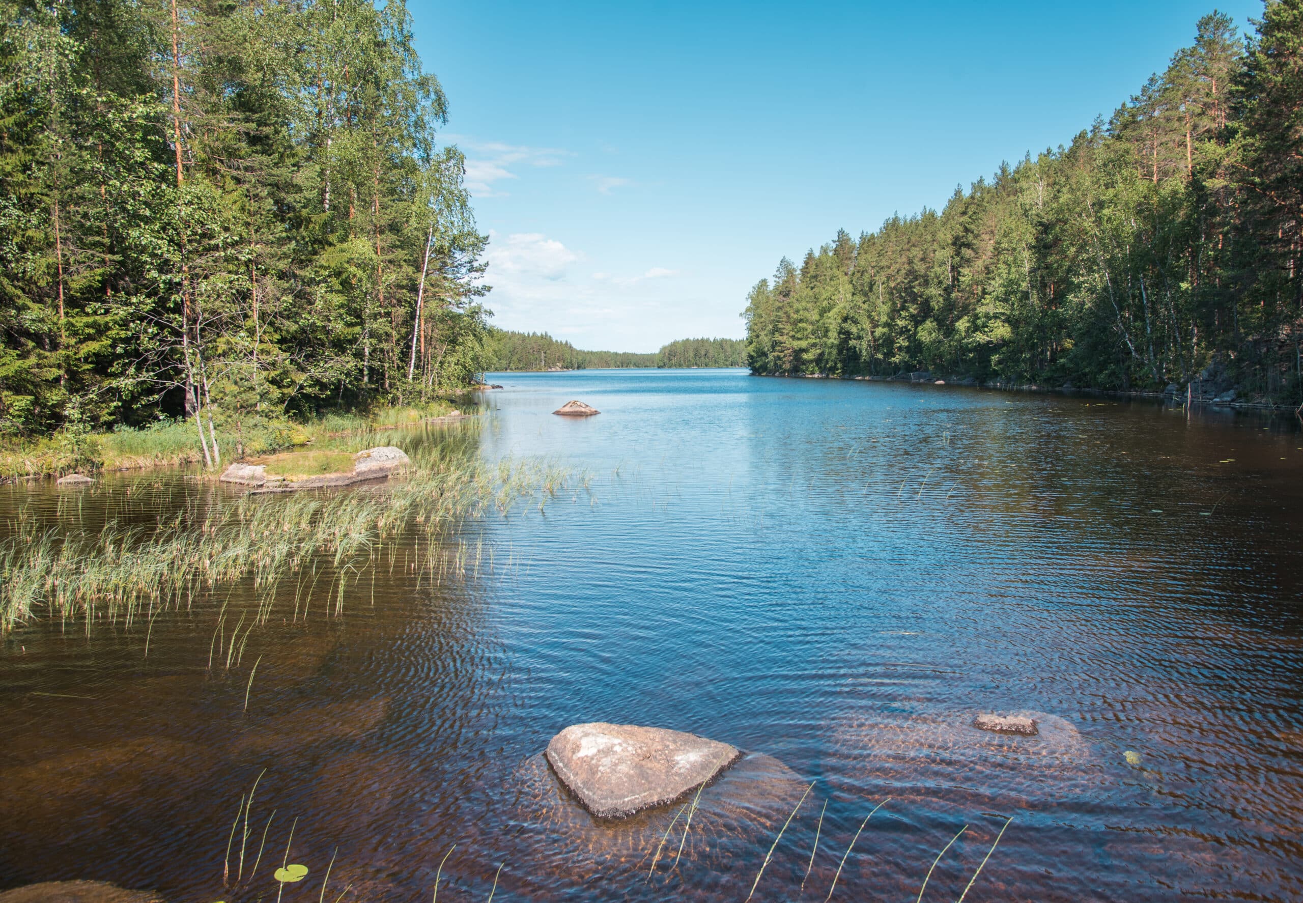 Isojärven kansallispuisto