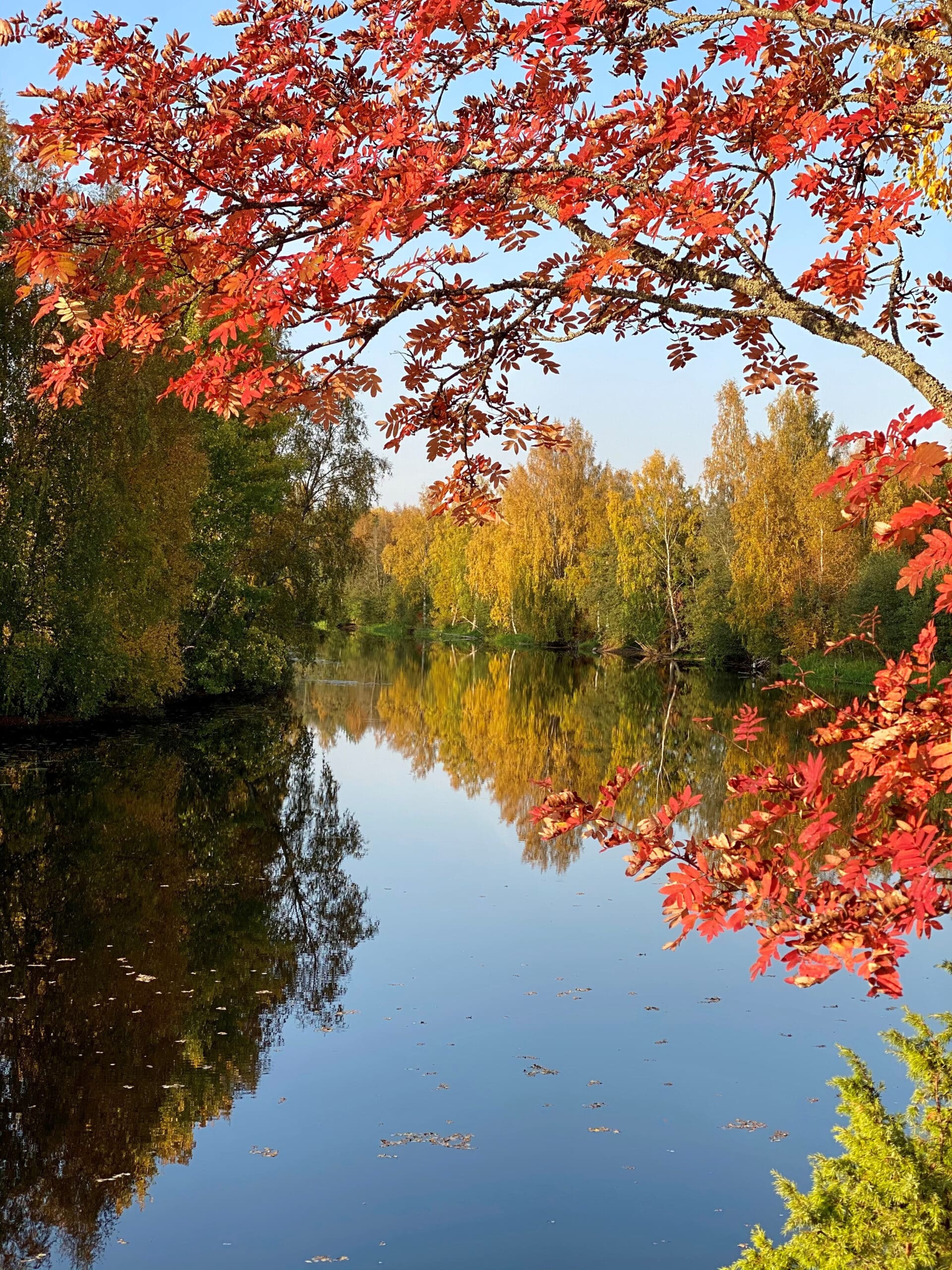 Kellokallio syysasussa