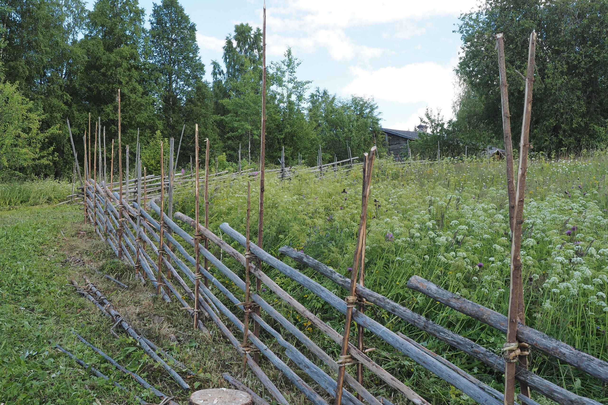 Isojärven kansallispuisto