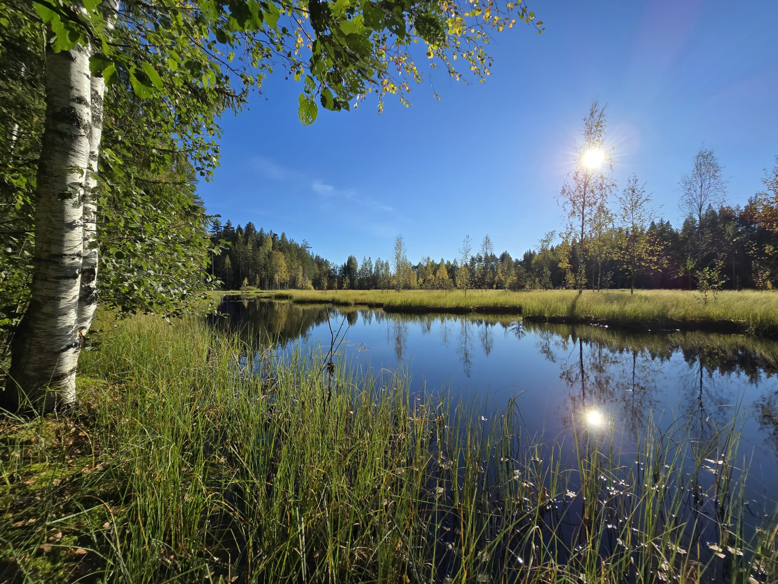 Kaunis alkusyksyn järvimaisema Palvian Luontopolulla