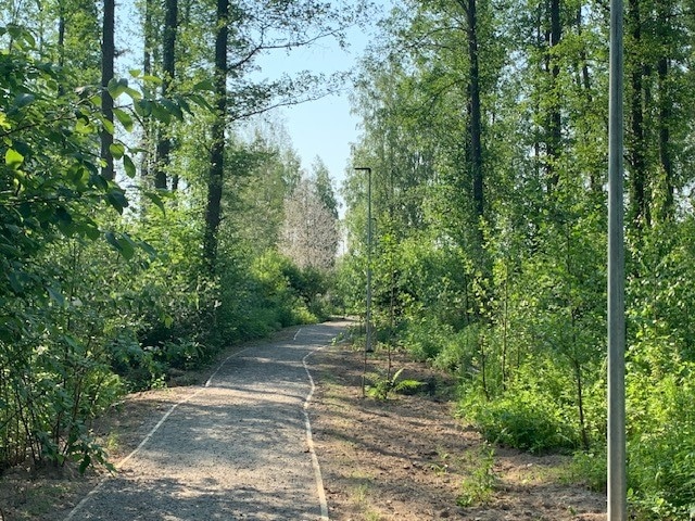 Tervaleppämetsän polku Himos-Jämsässä