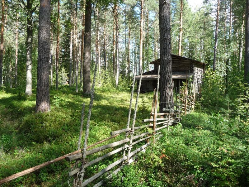 Riihi metsässä Jämsässä