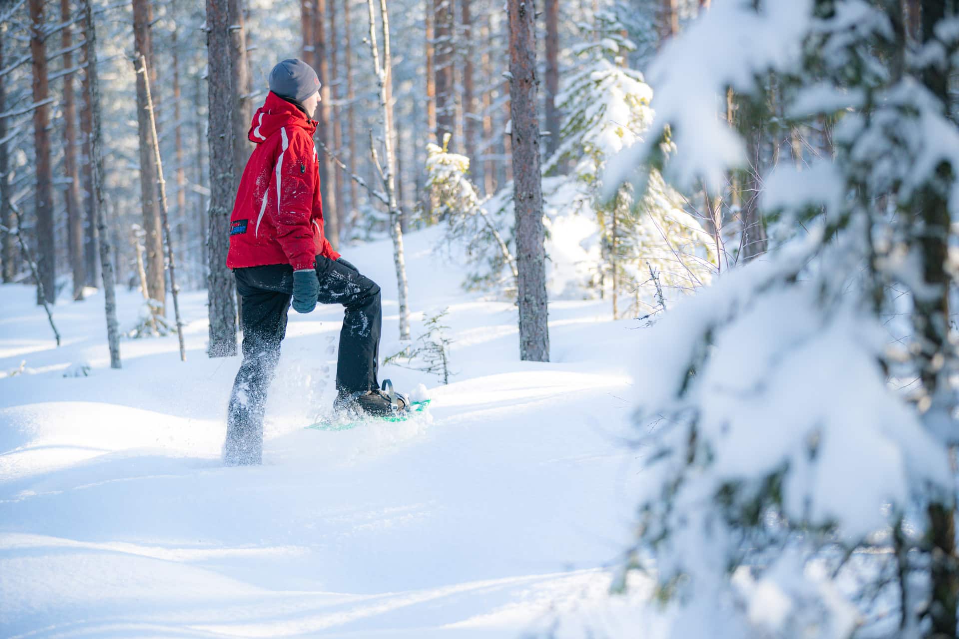 Henkilö talvella metsässä lumikengillä